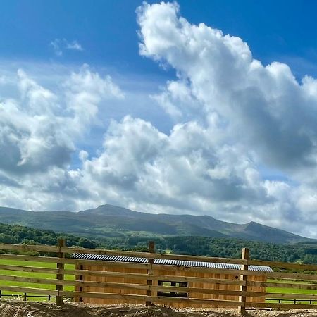 Отель Cwtch Cader Shepherds Hut Llanelltyd Экстерьер фото