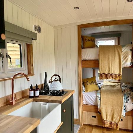 Отель Cwtch Cader Shepherds Hut Llanelltyd Экстерьер фото